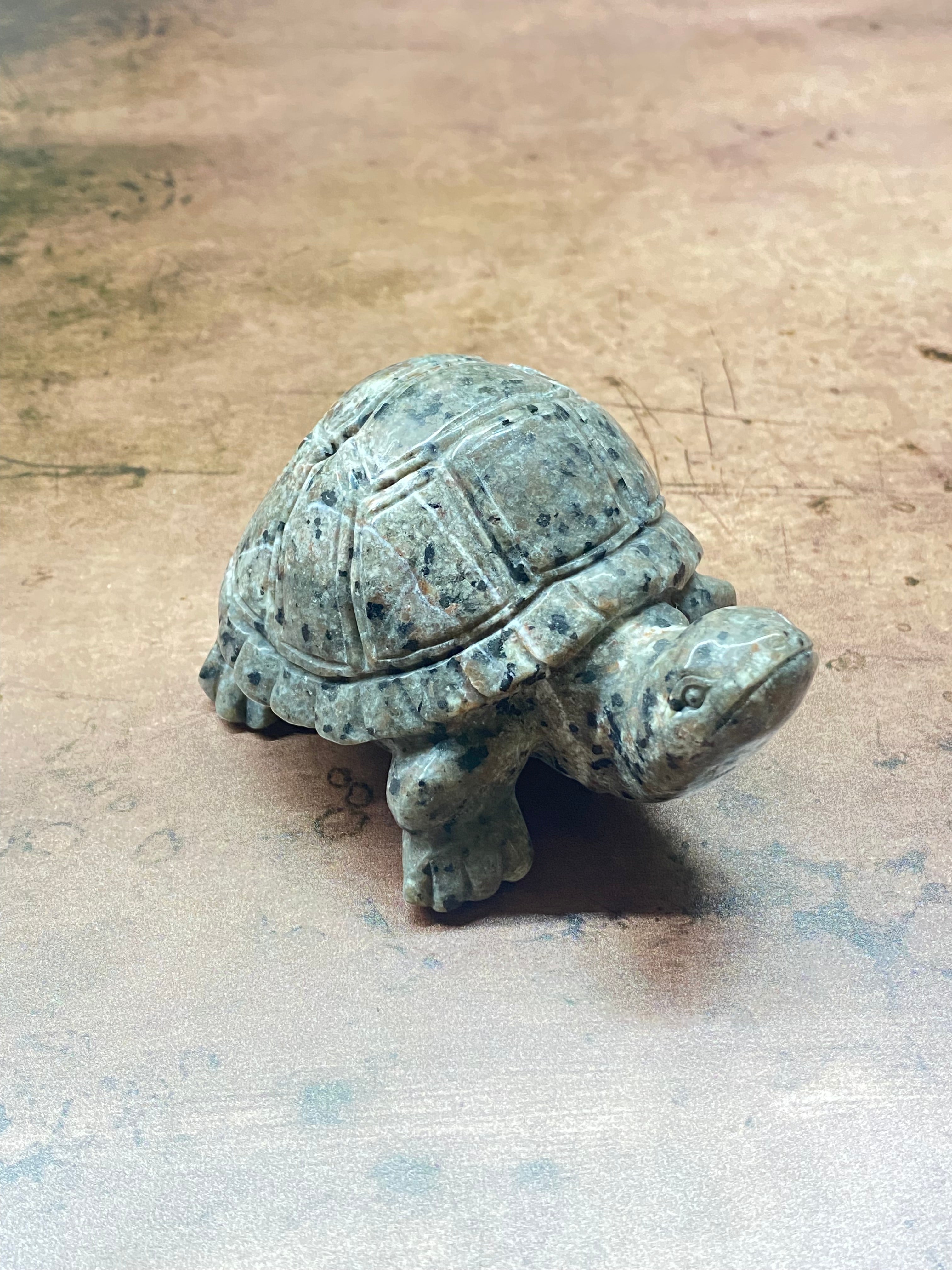 Glow Rock Turtle Carving