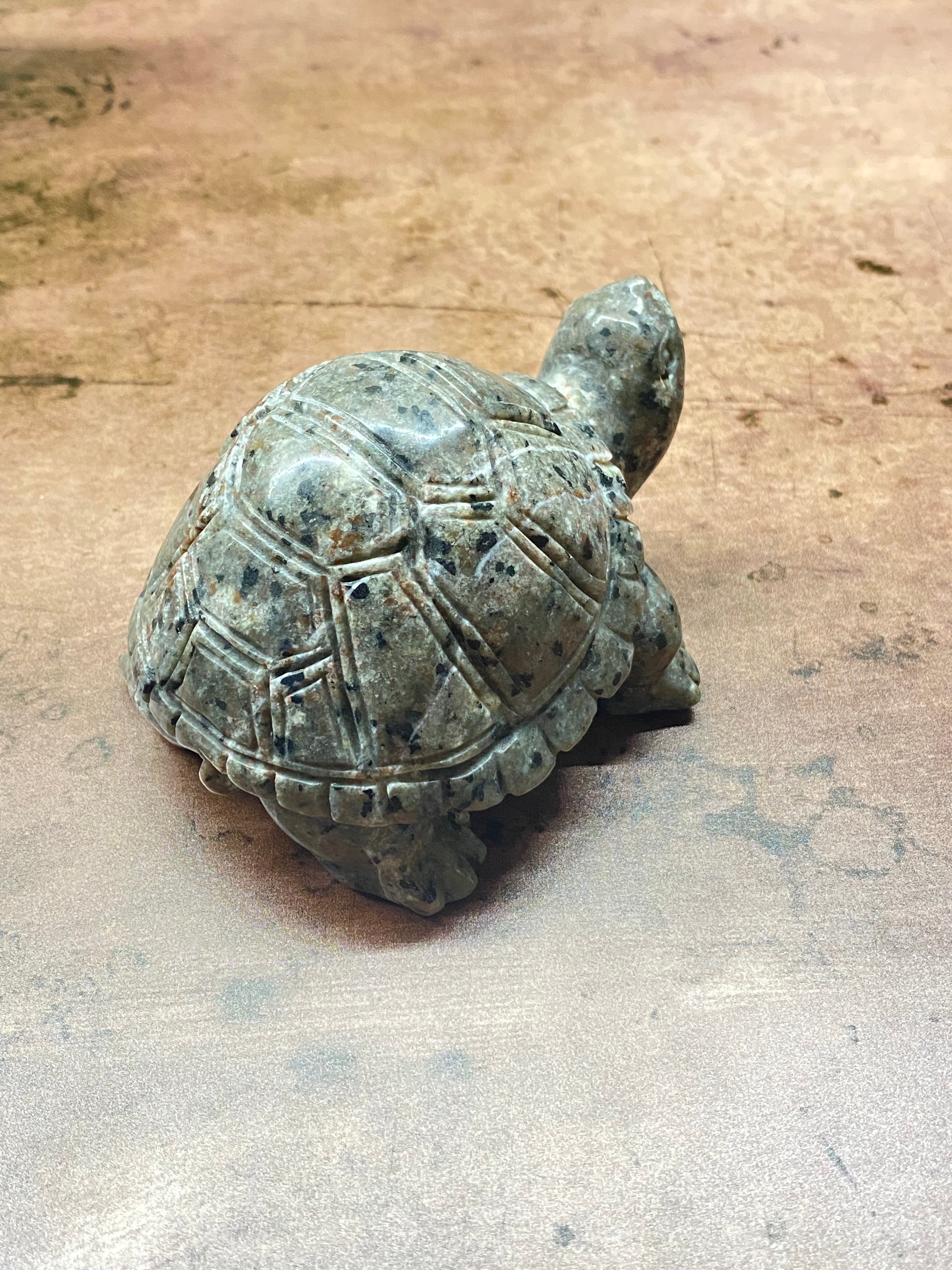 Glow Rock Turtle Carving