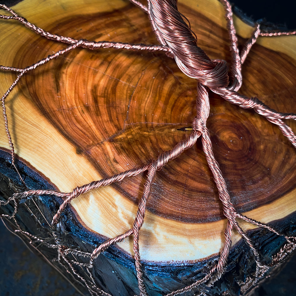 Natural Turquoise Carnelian Wire Tree