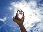 Tree of Life Sun Catcher - Large